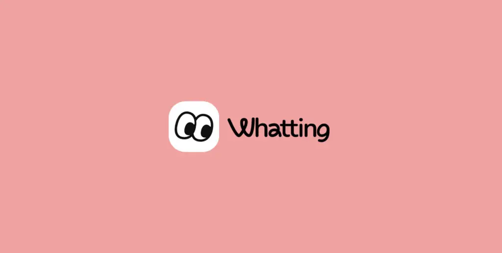 Whatting is Reinventing Digital Journals on iPad